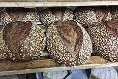 Frische Brote mit Haferflocken der Bäckerei Pistono gebacken mit Friedrich Steinbacköfen